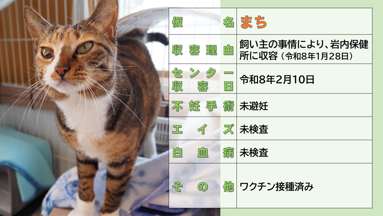 登録している生体