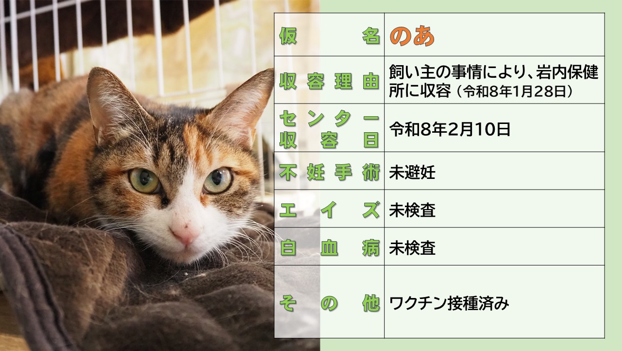 登録している生体