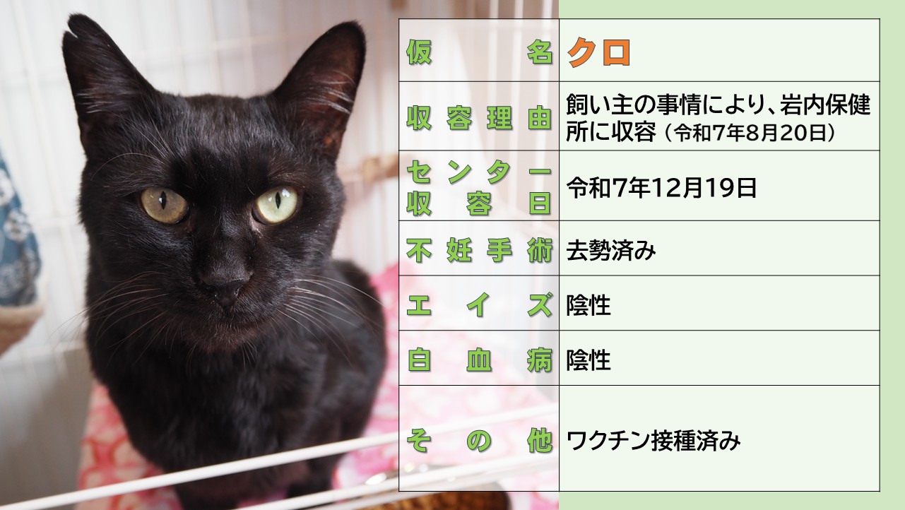 登録している生体