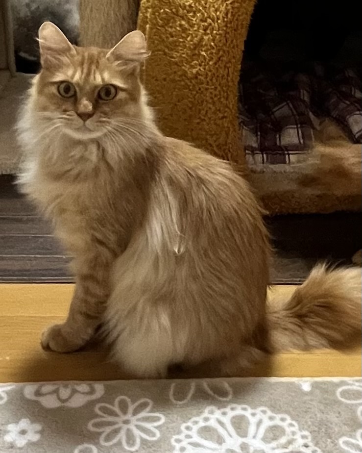 登録している生体