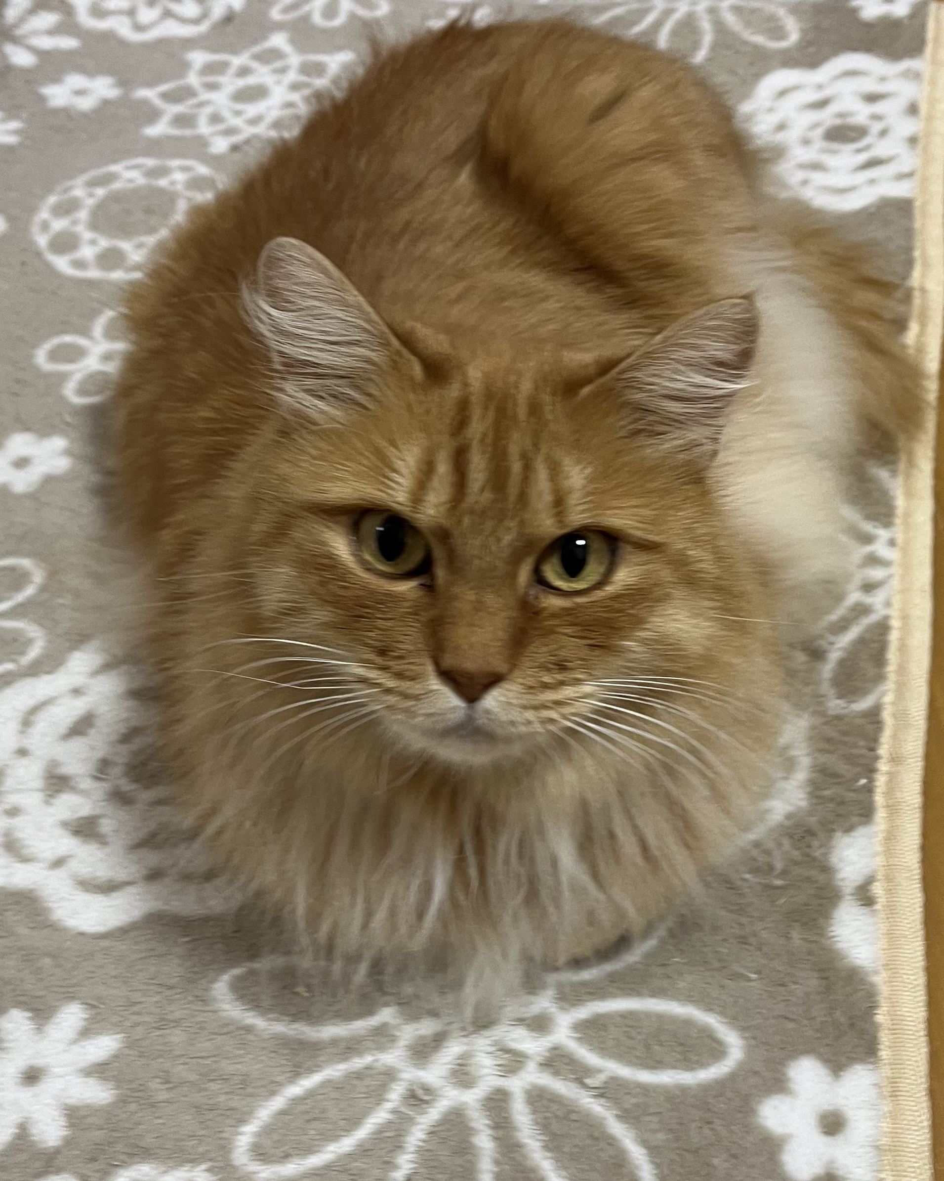 陽葵（ひまり）ちゃん