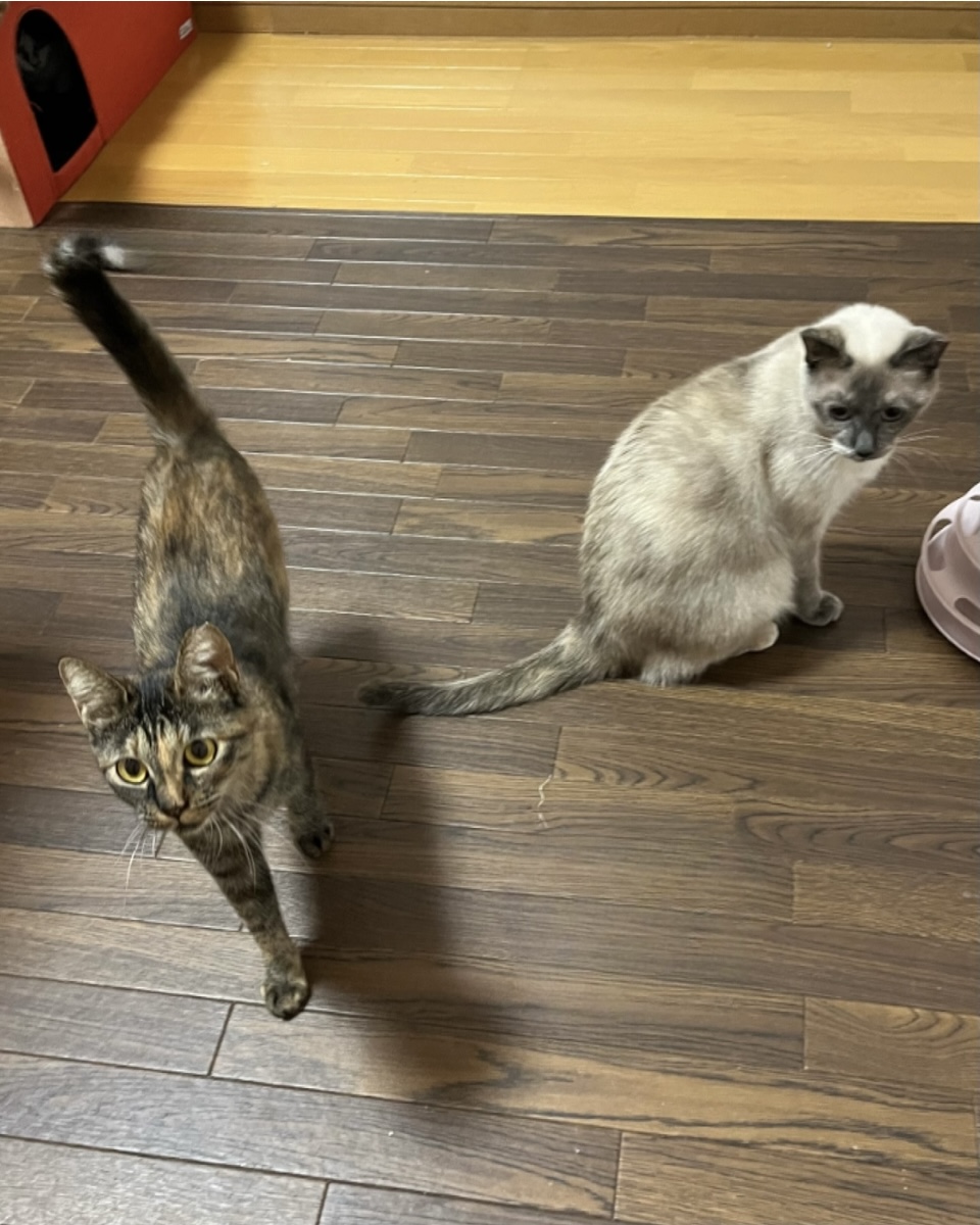 海音（みお）ちゃん