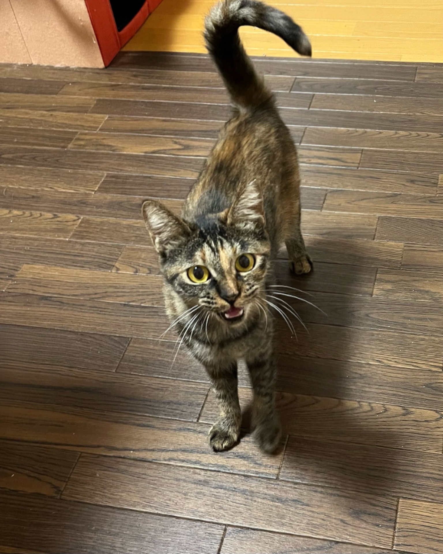 海音（みお）ちゃん