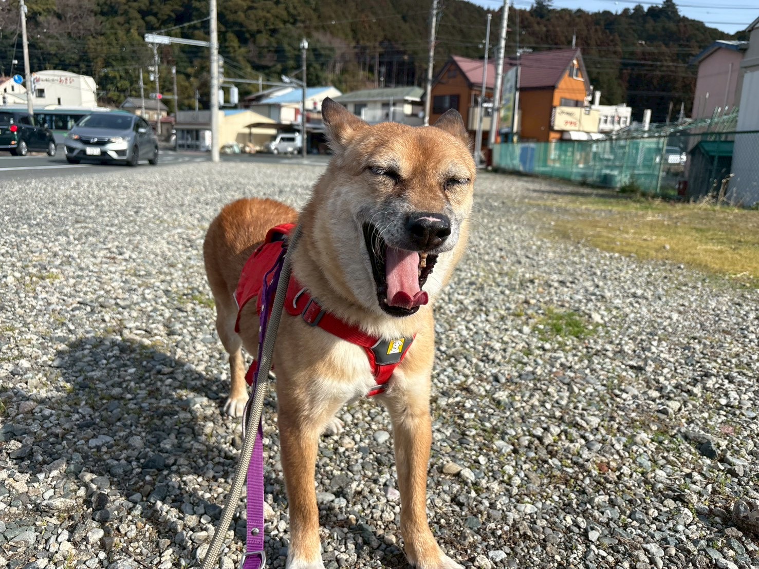 登録している生体