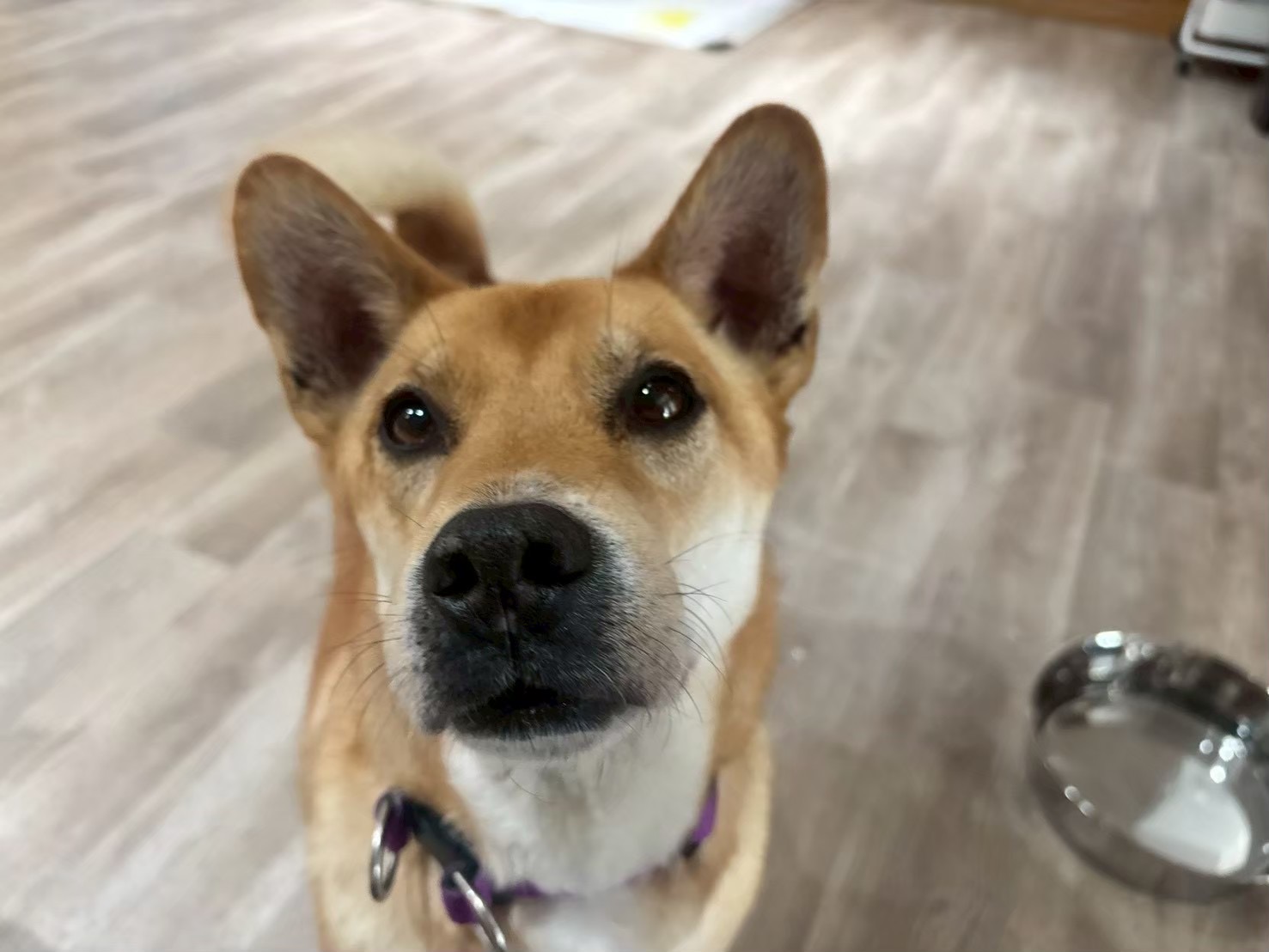 登録している生体