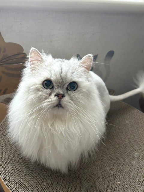 登録している生体