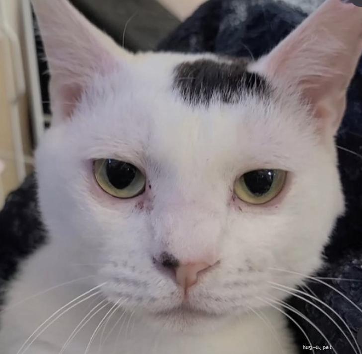 冬馬（とうま）くん