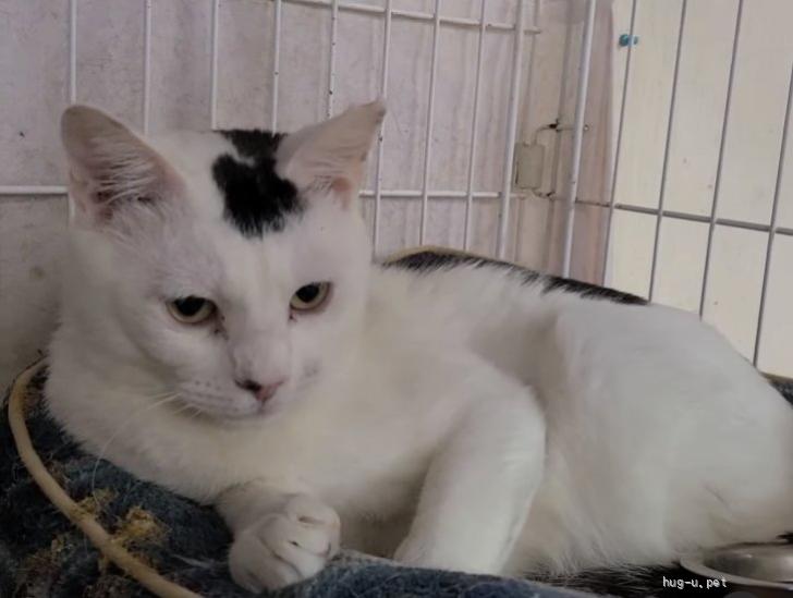 冬馬（とうま）くん