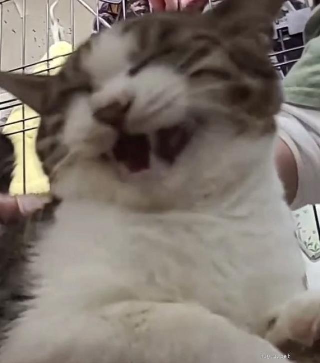 塁（るい）くん