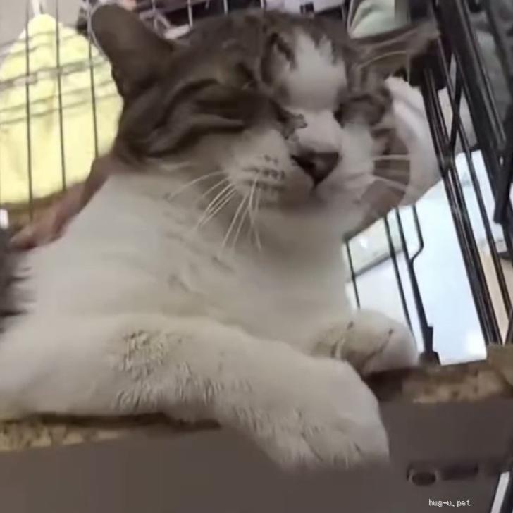 塁（るい）くん