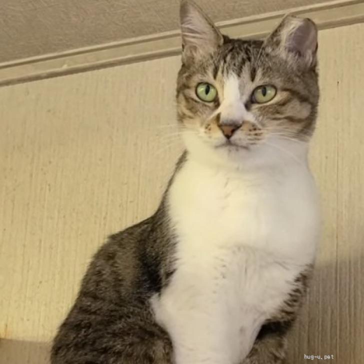 登録している生体