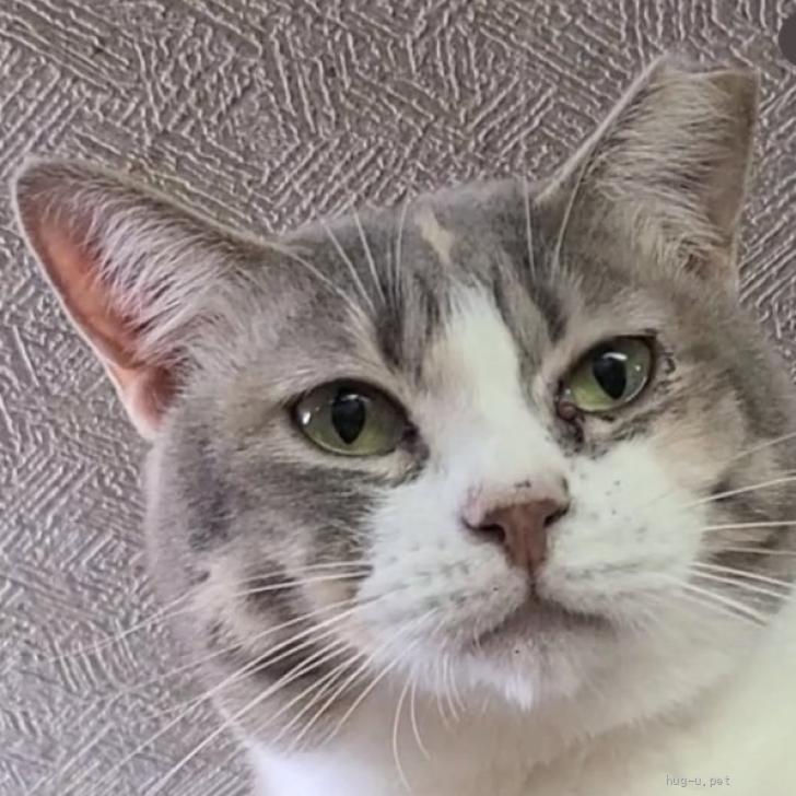 登録している生体