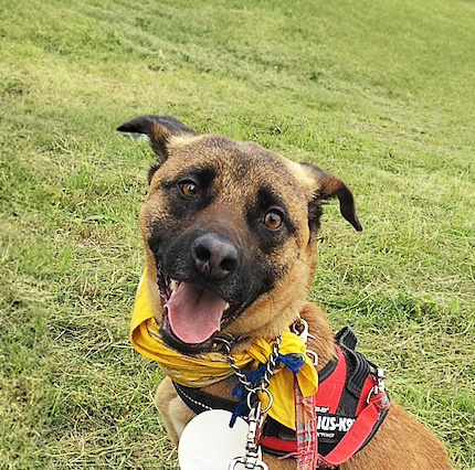 登録している生体