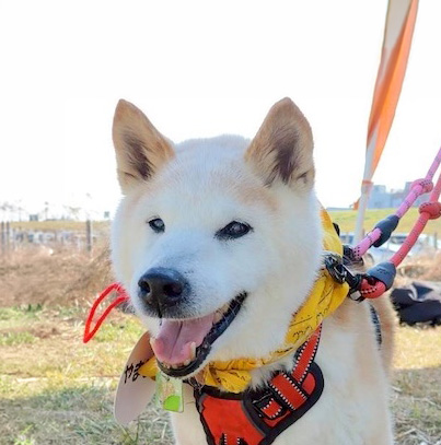 登録している生体