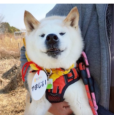 やまじぃ