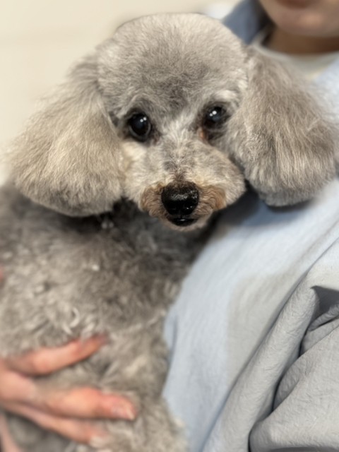 登録している生体