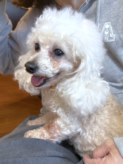 登録している生体