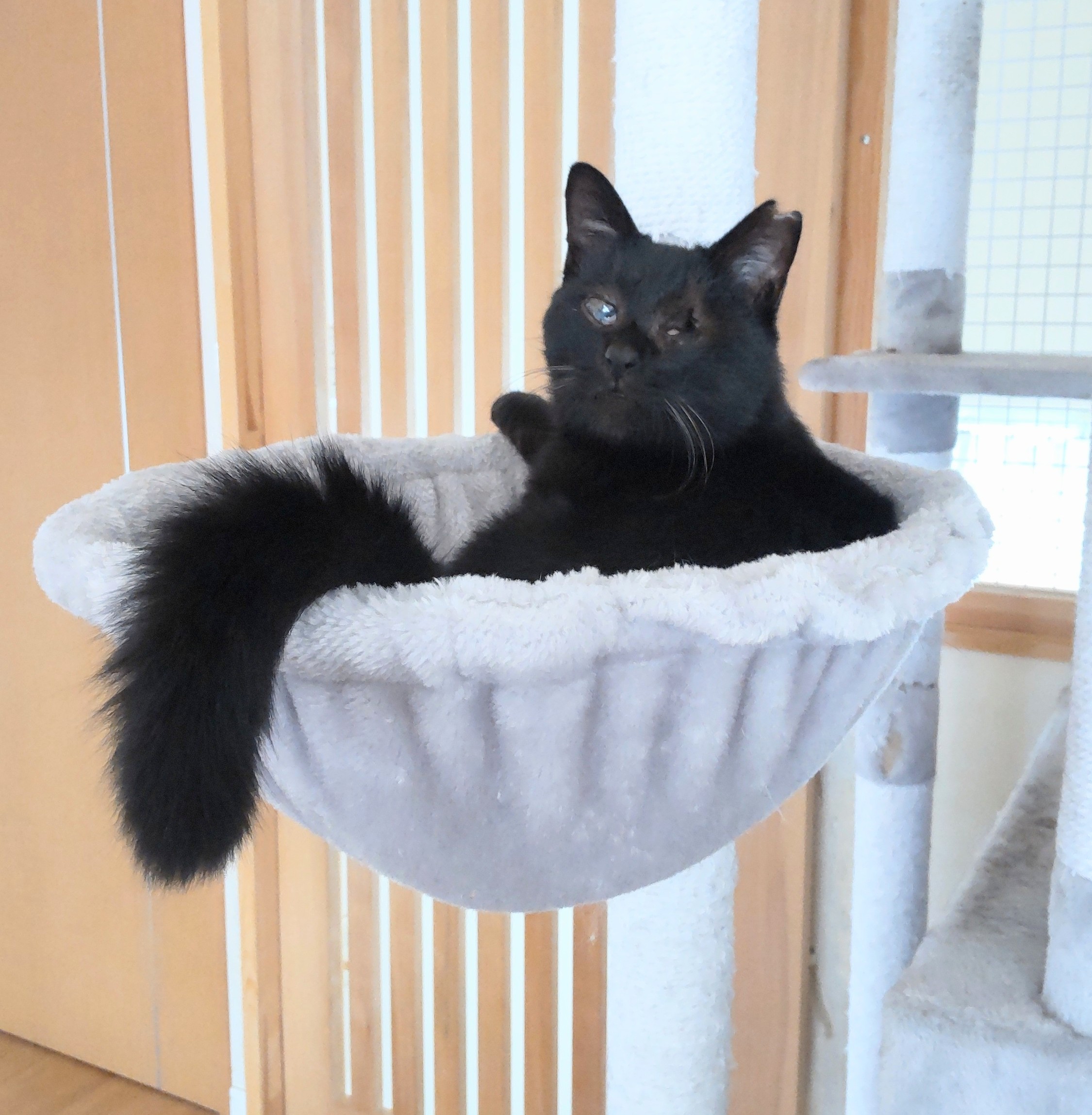 きらり