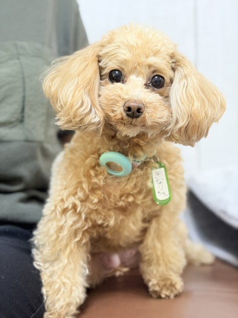 登録している生体