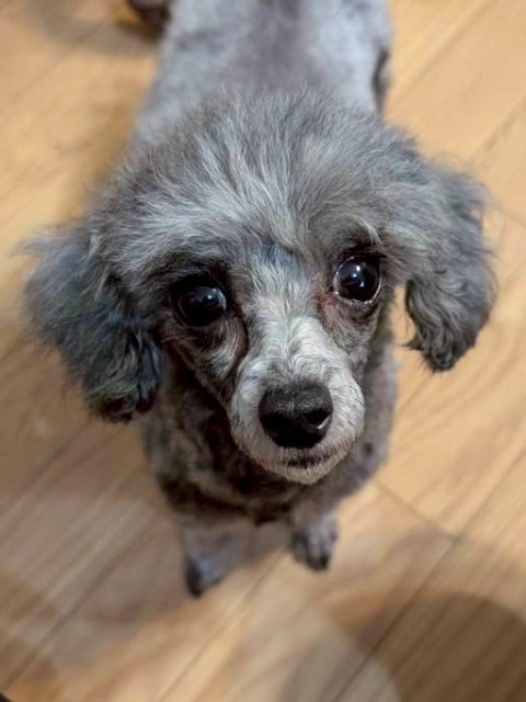 登録している生体