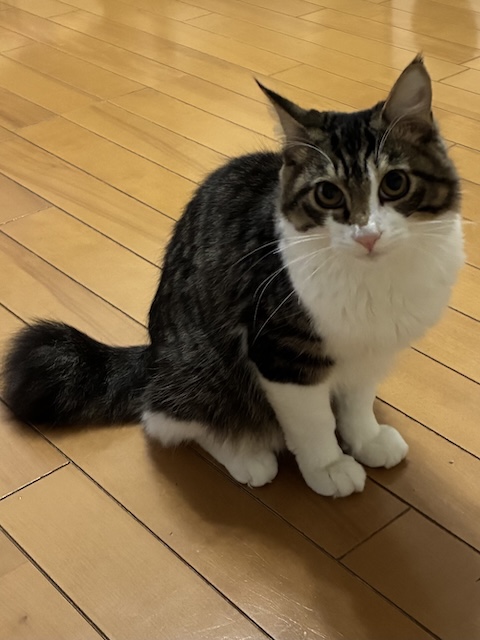 登録している生体