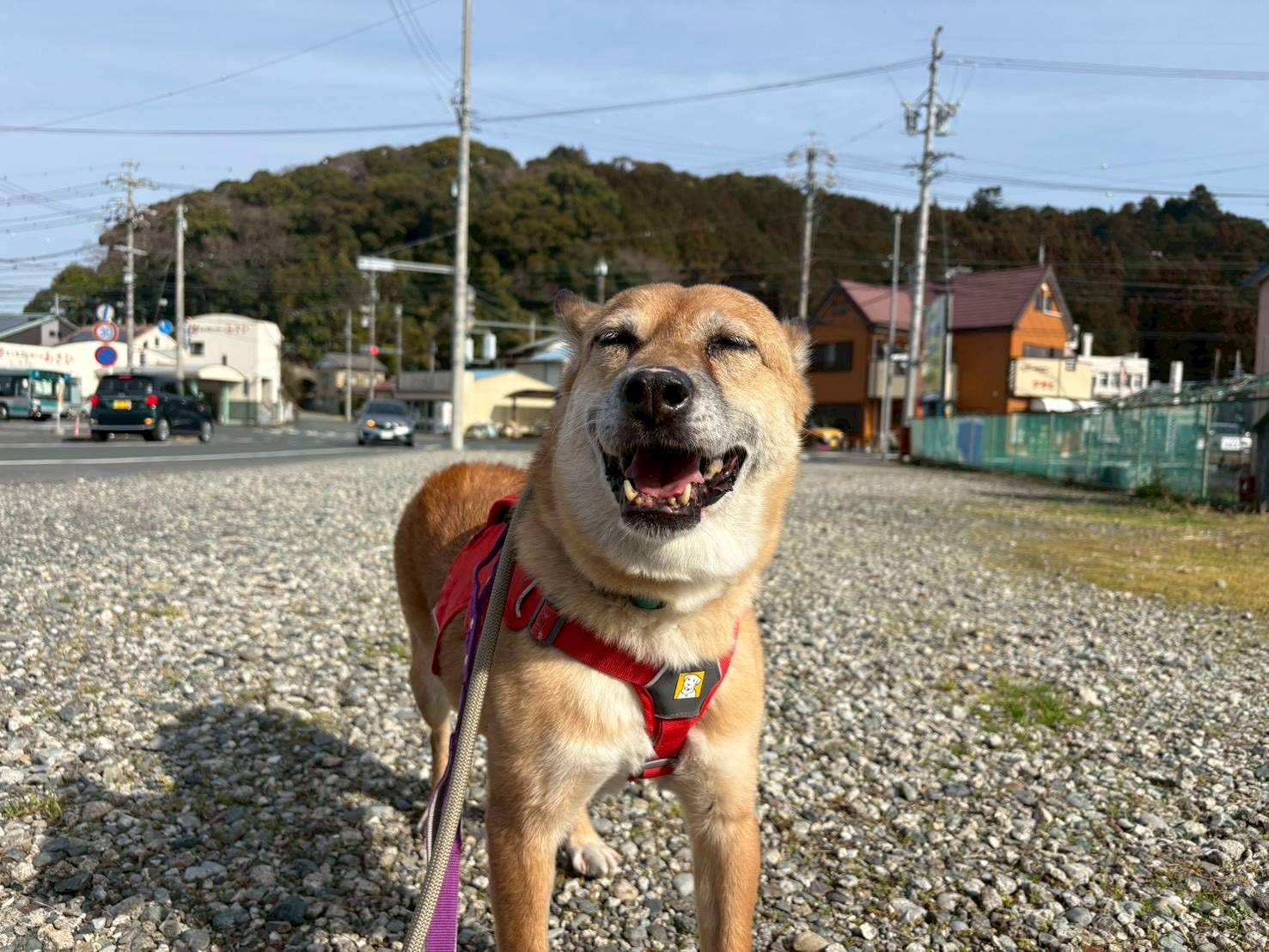 パグー