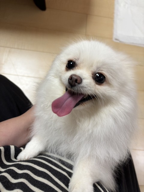 ここみ