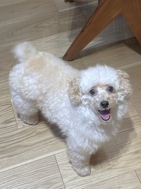 なゆ