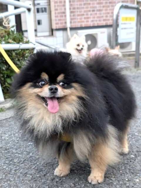 登録している生体