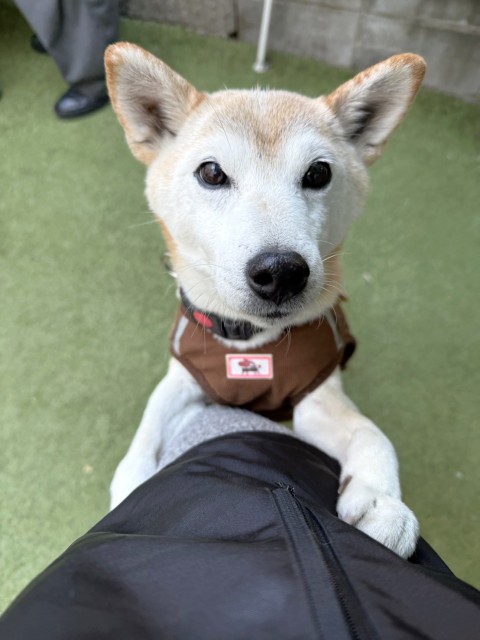 はぎの