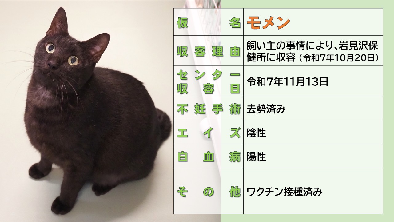 ミックス全般