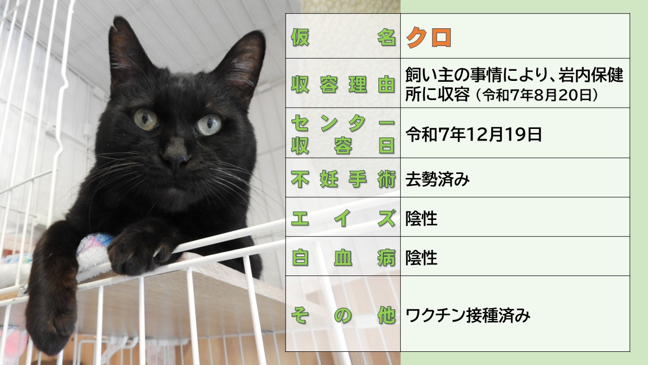 ミックス全般