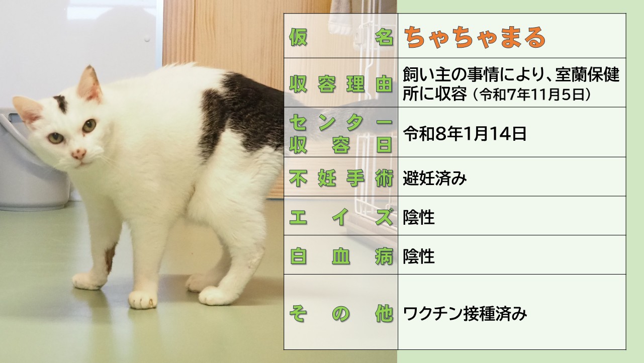 ミックス全般