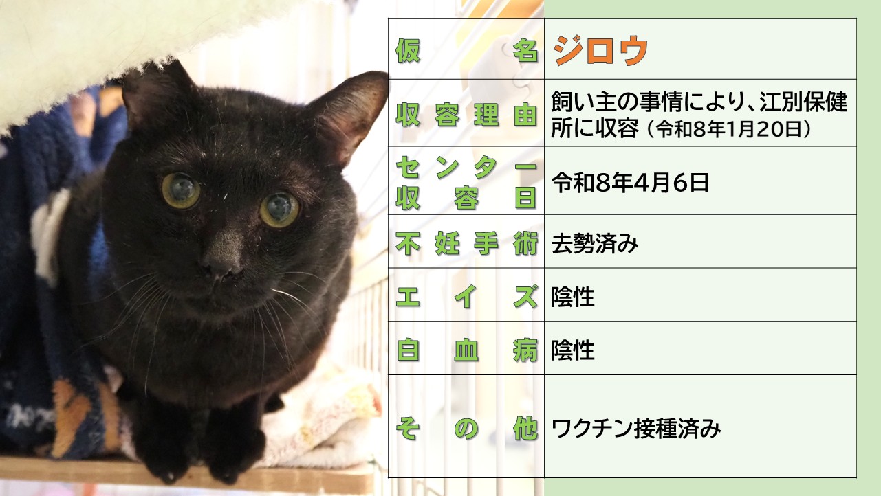 ミックス全般
