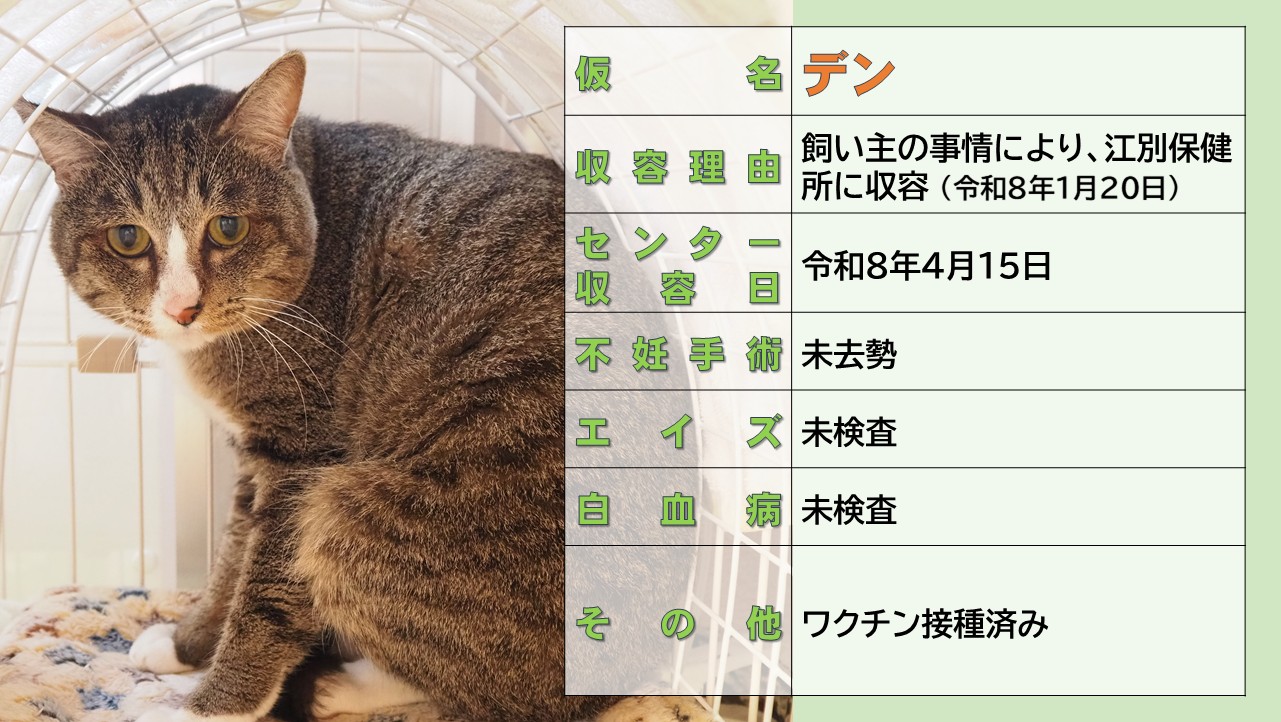 ミックス全般