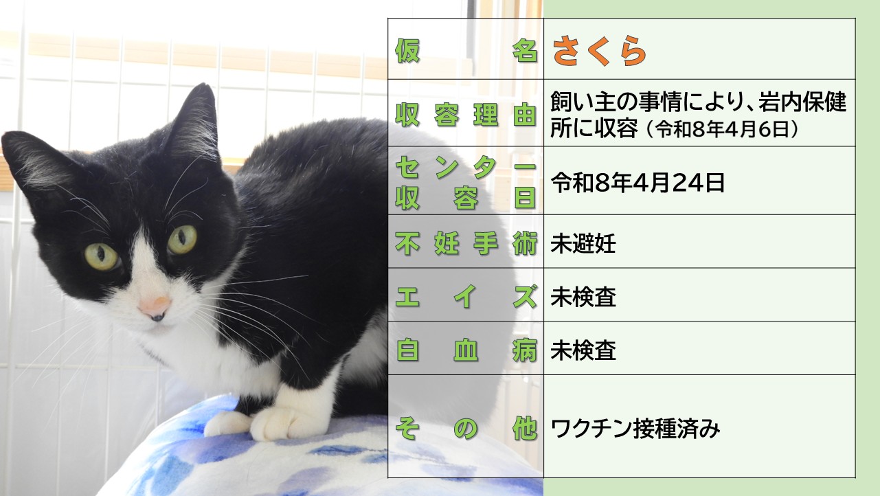 ミックス全般