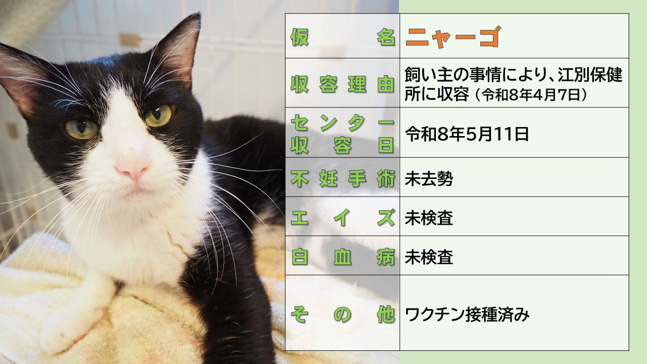 ミックス全般