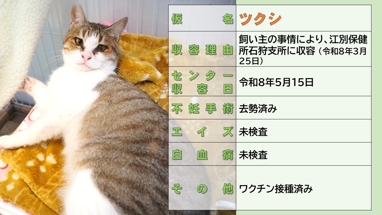 ミックス全般