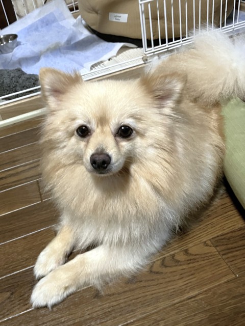 ゆうな