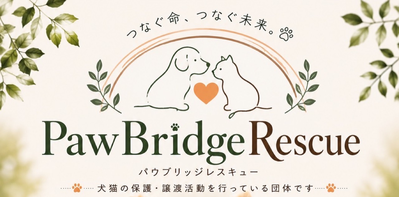 動物保護団体PawBridgeRescue