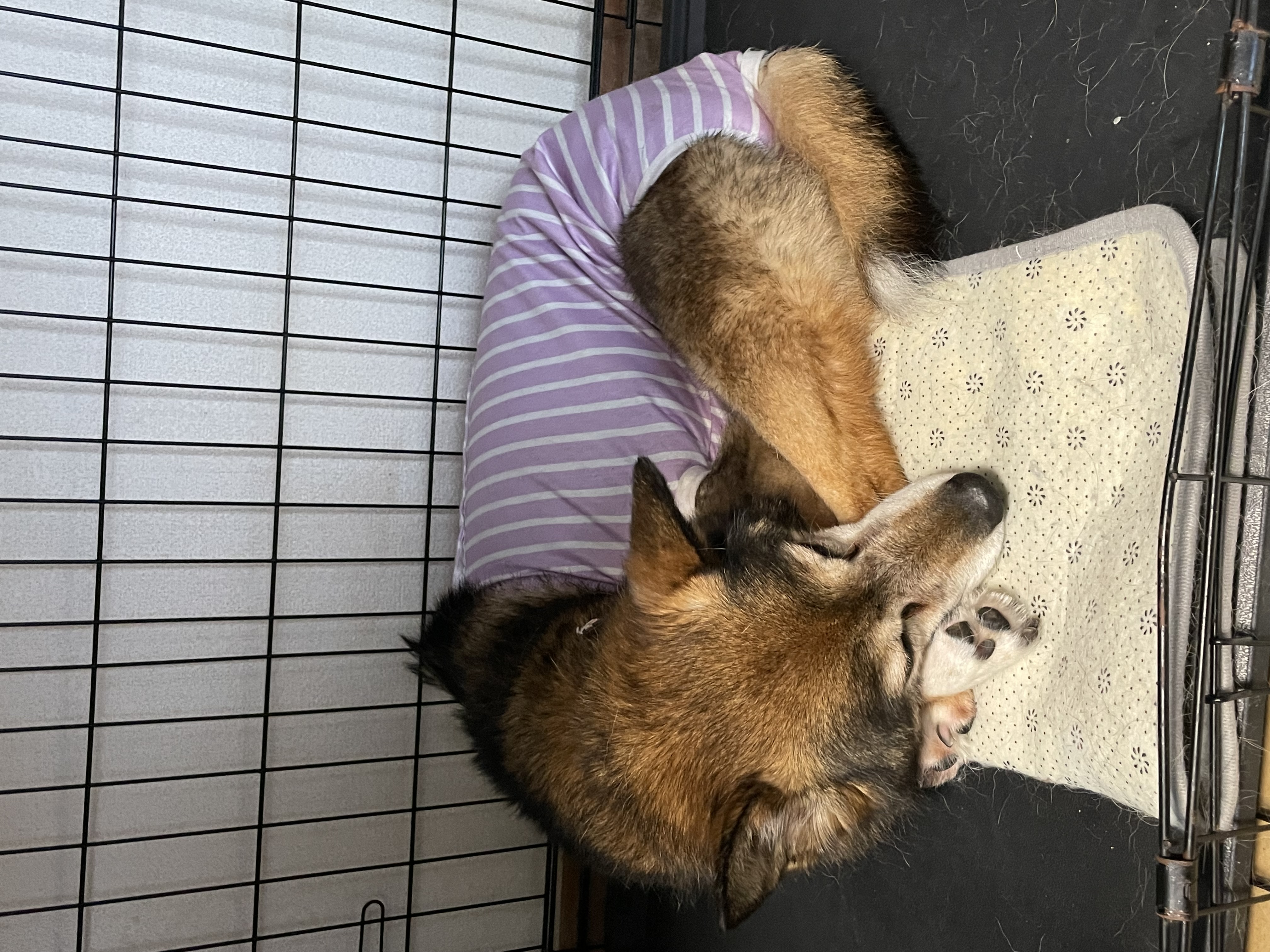 はな