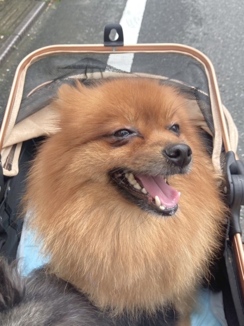 むぎの