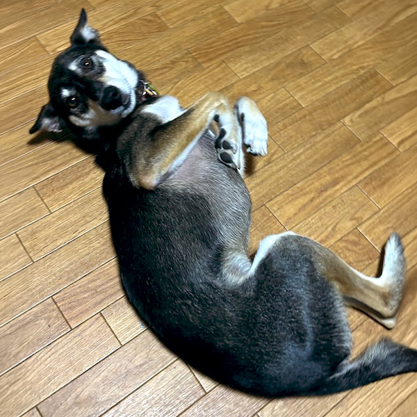 ツム