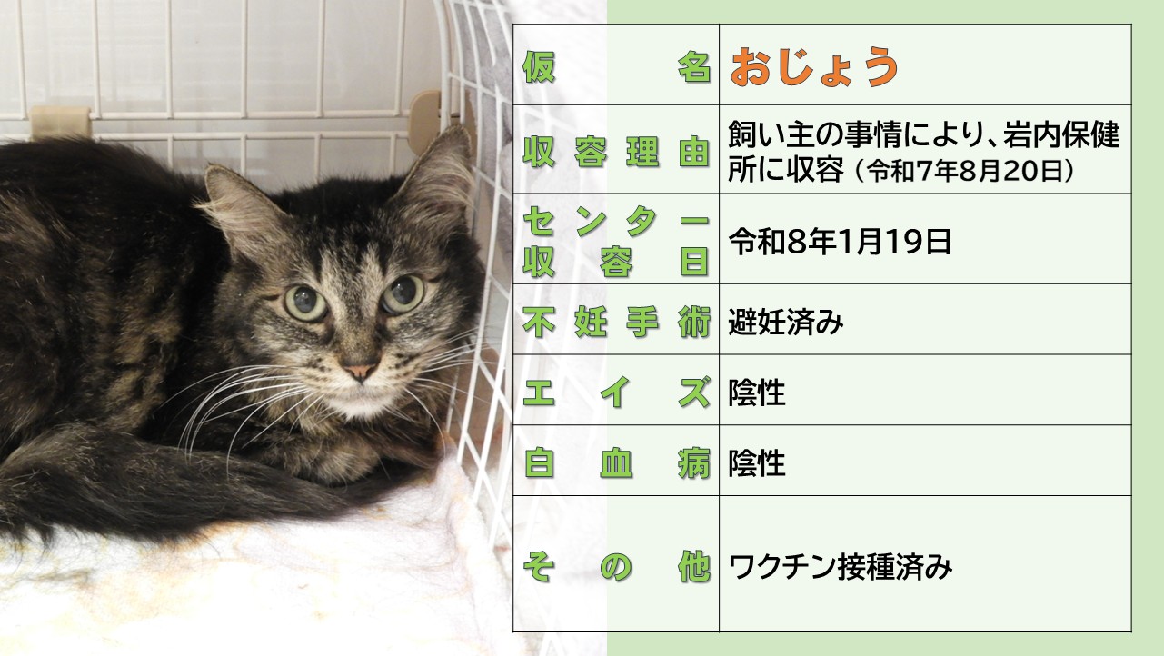 ミックス全般