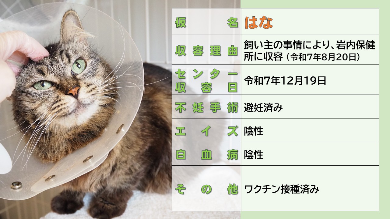 ミックス全般