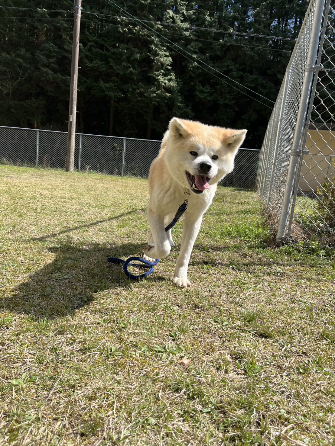 うっちゃん