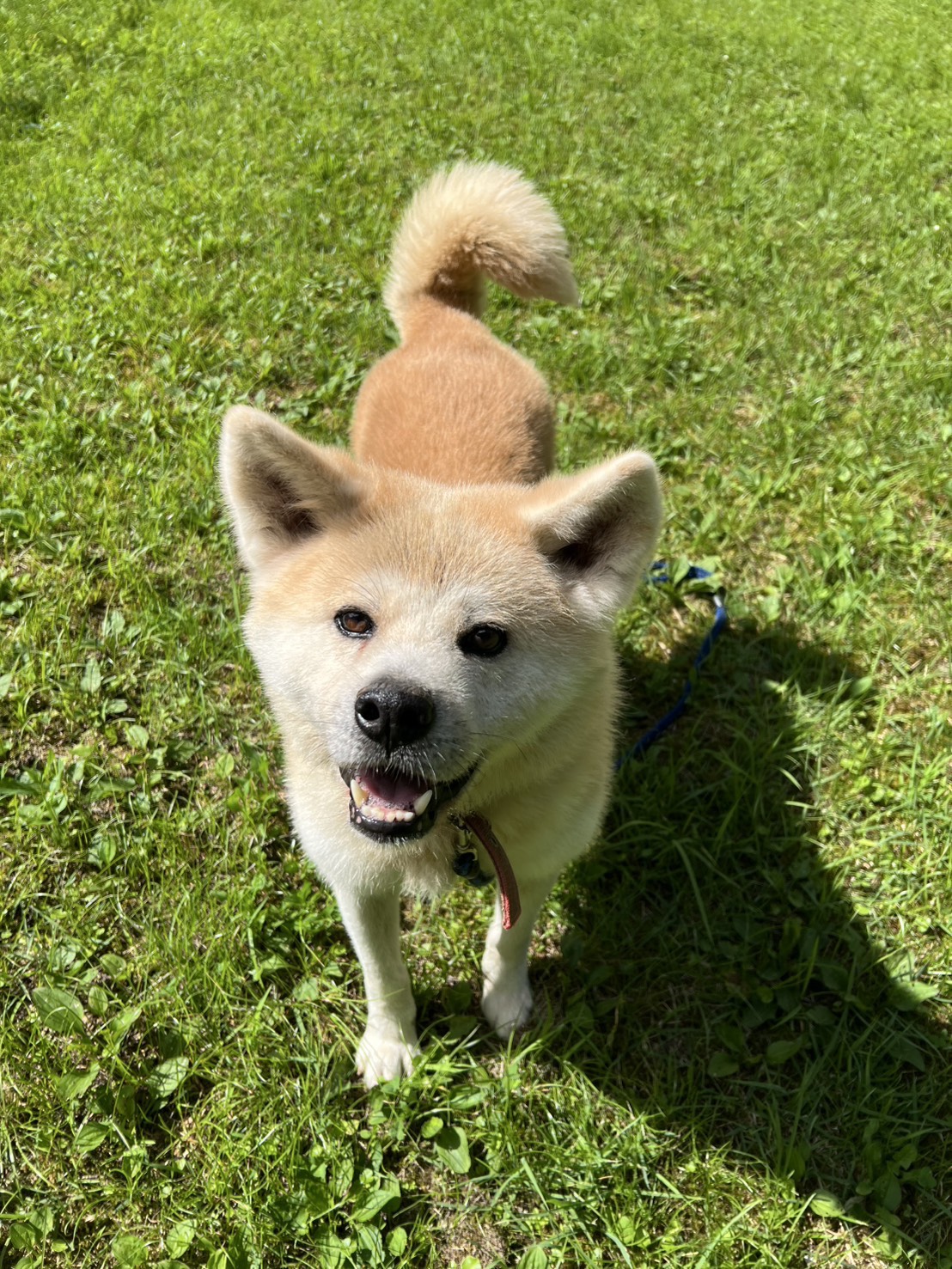 うっちゃん