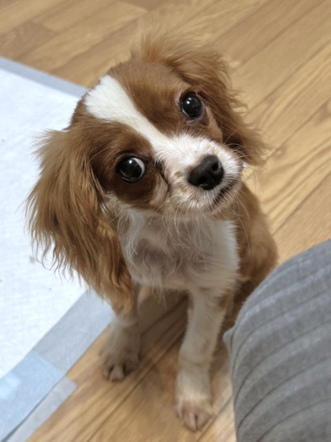 ミックス全般