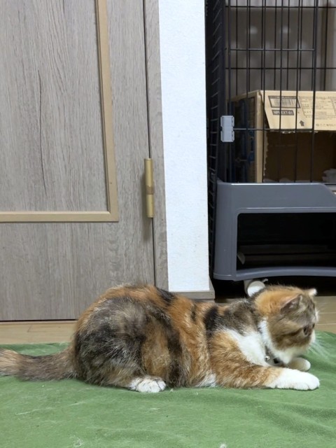 ララン
