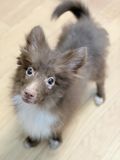 ミックス全般